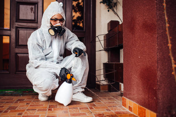 Reliable Cockroach Control contractor in Junction City, KS by Nex Pest Control