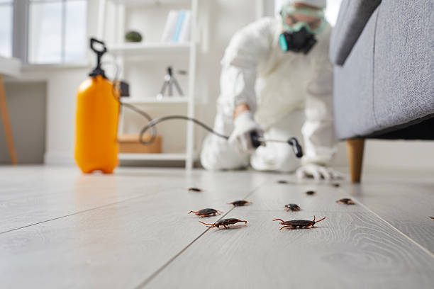 Trusted Emergency Pest Control service in Junction City, KS - Nex Pest Control